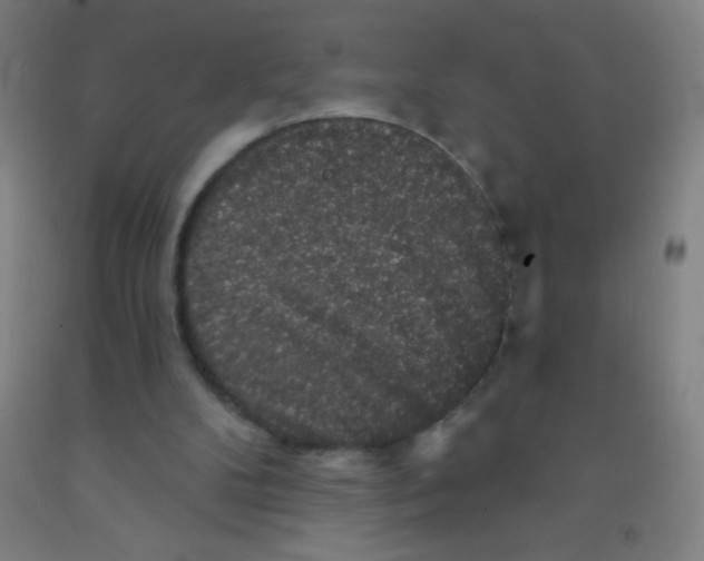 X0000092010104200709271537