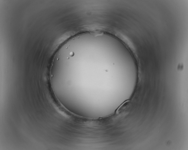 X0000092010105200709271537