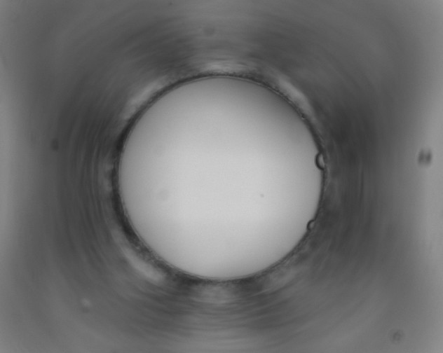 X0000092010106200709271537