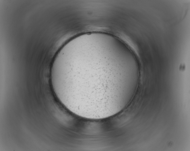 X0000092010107200709271537