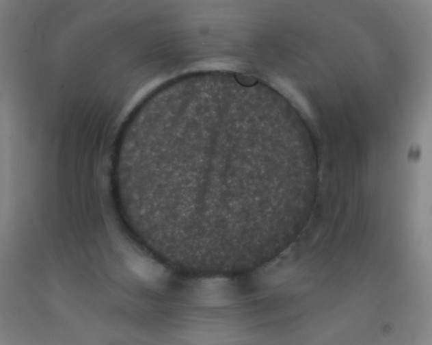 X0000092010108200709271537