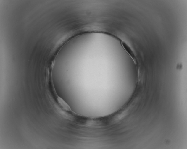 X0000092010109200709271537