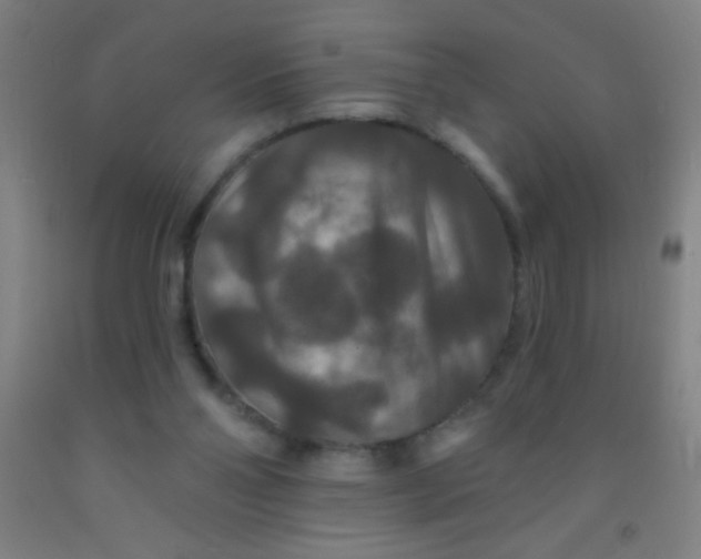 X0000092010110200709271537