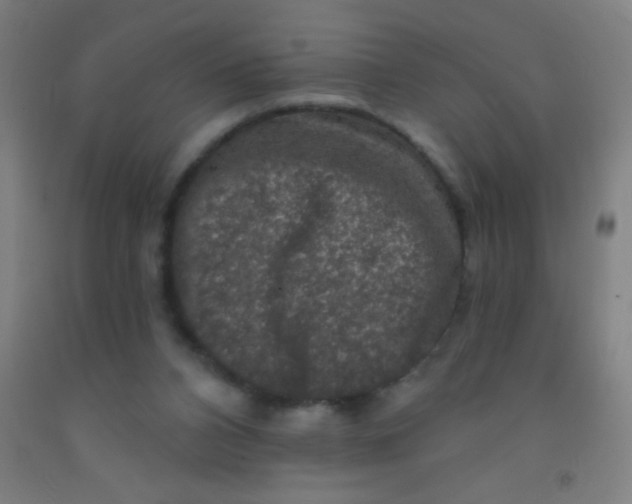 X0000092010112200709271537