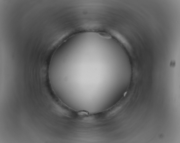 X0000092010113200709271537