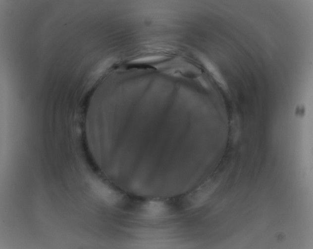 X0000092010114200709271537