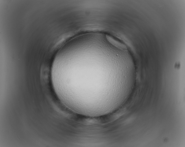 X0000092010115200709271537