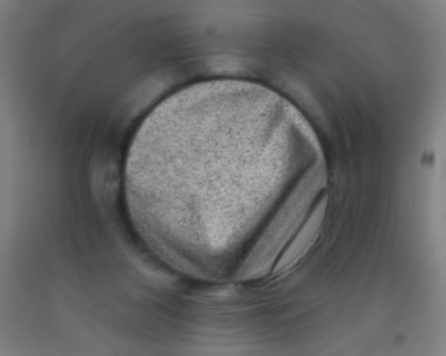 X0000092010116200709271537