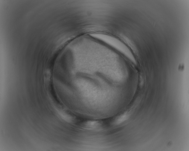 X0000092010117200709271537