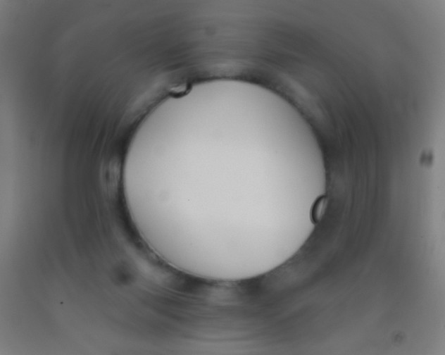 X0000092010118200709271537