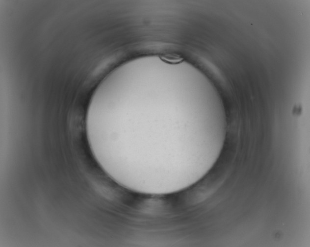 X0000092010119200709271537