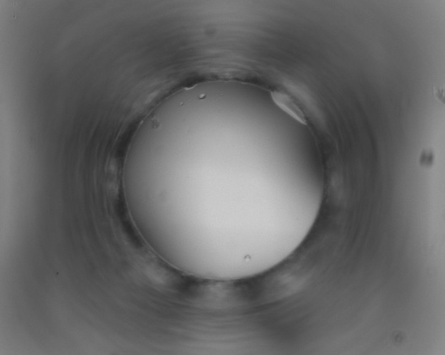 X0000092010121200709271537