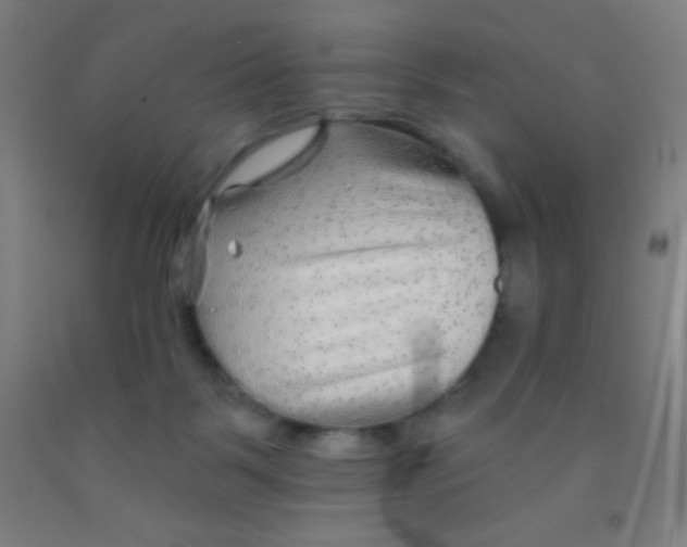 X0000092010123200709271537