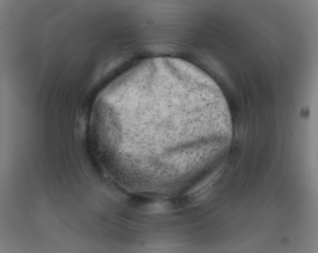 X0000092010124200709271537