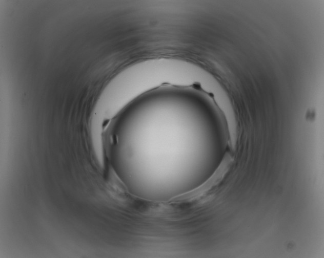 X0000092010125200709271537