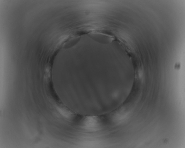 X0000092010127200709271537