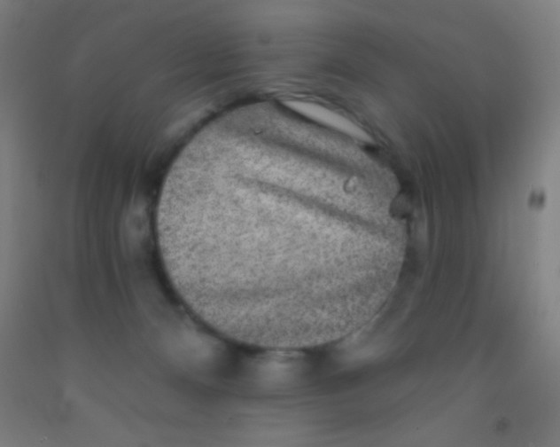 X0000092010128200709271537