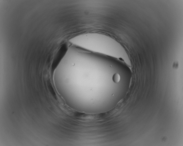 X0000092010129200709271537