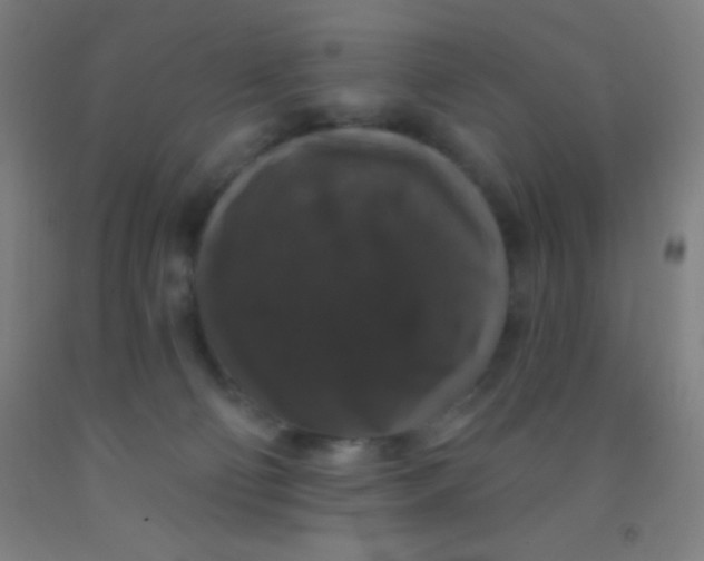 X0000092010130200709271537