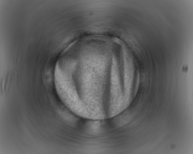 X0000092010131200709271537