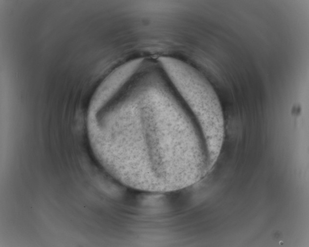 X0000092010132200709271537