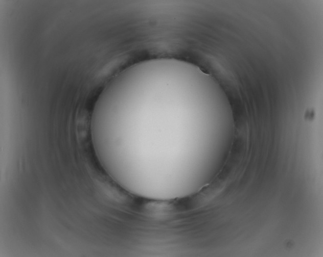 X0000092010133200709271537