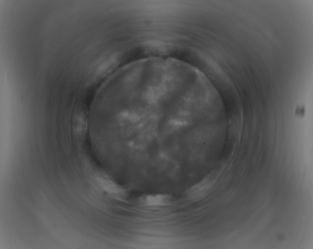 X0000092010134200709271537