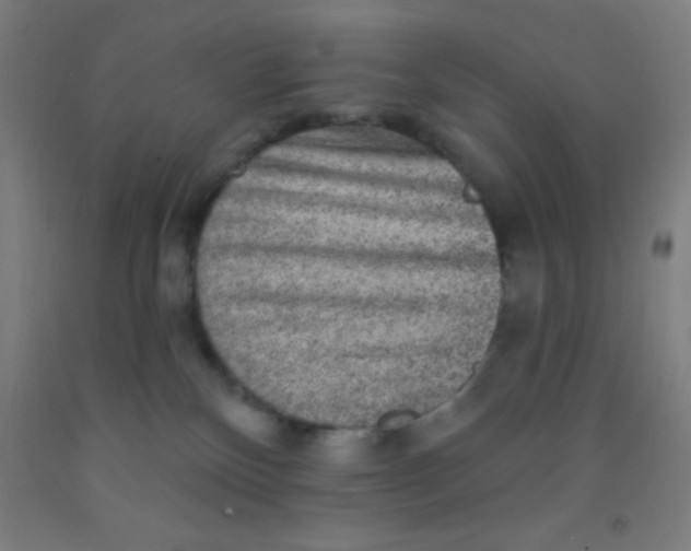 X0000092010136200709271537