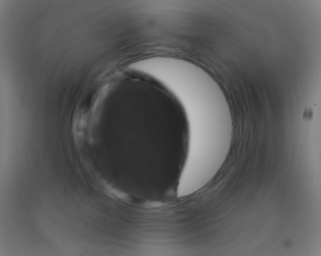 X0000092010137200709271537