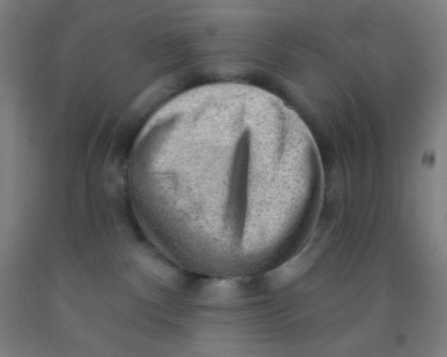 X0000092010140200709271536