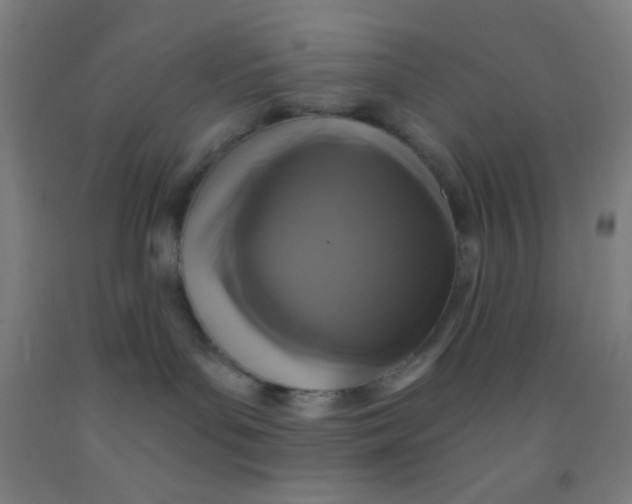 X0000092010143200709271536