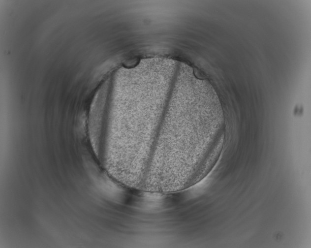 X0000092010144200709271536