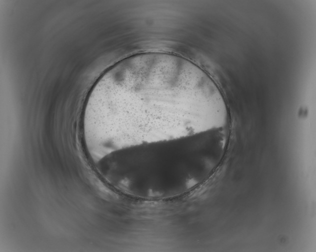 X0000092010145200709271536