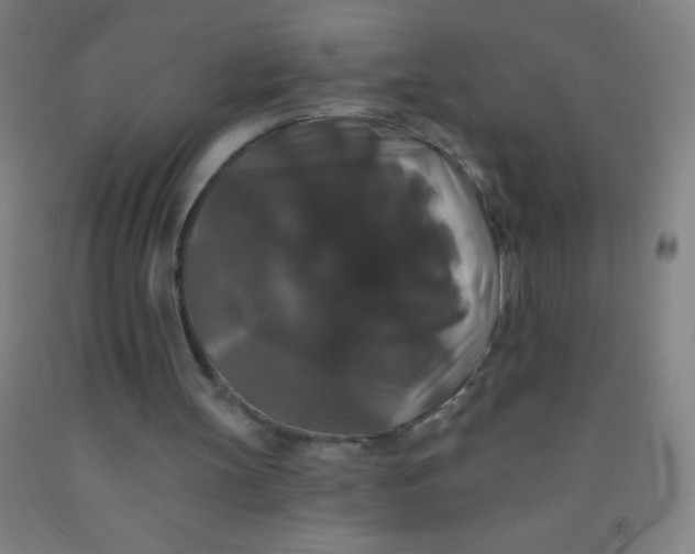 X0000092010147200709271536