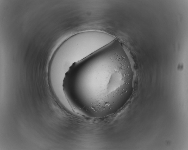 X0000092010148200709271536