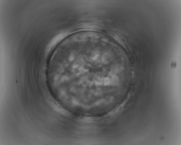 X0000092010149200709271536