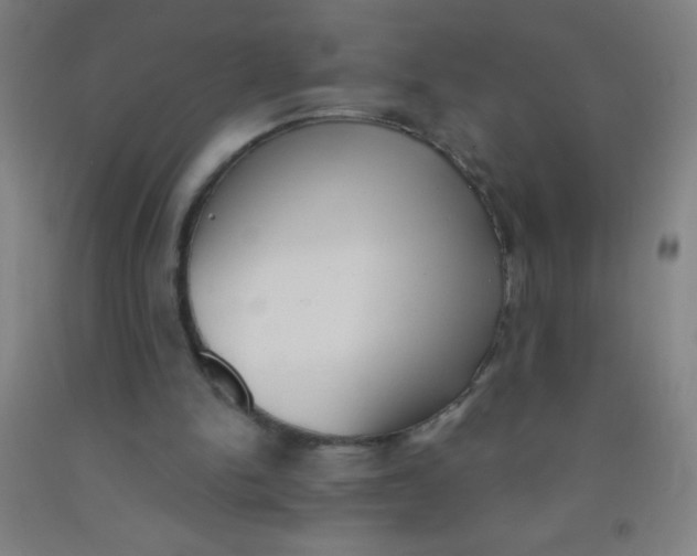 X0000092010150200709271536