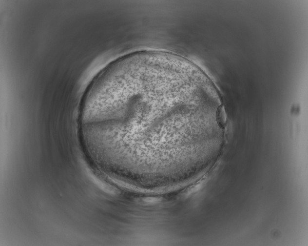 X0000092010151200709271536