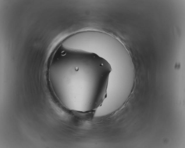 X0000092010152200709271536