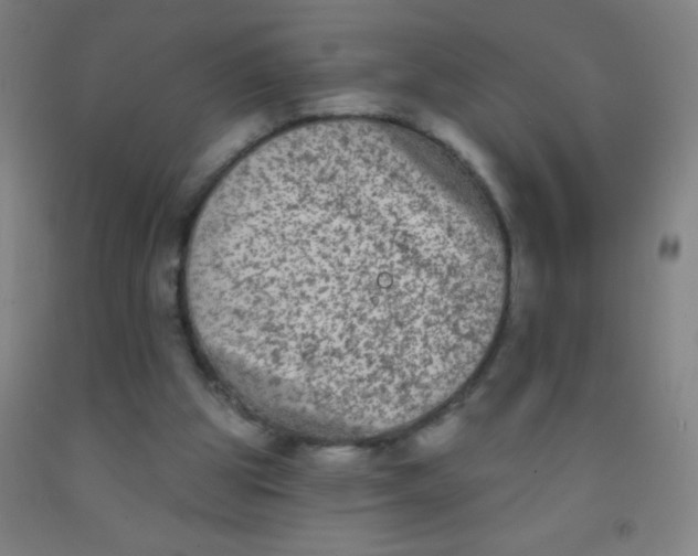 X0000092010153200709271536