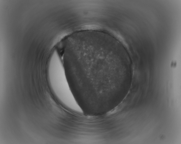 X0000092010154200709271536