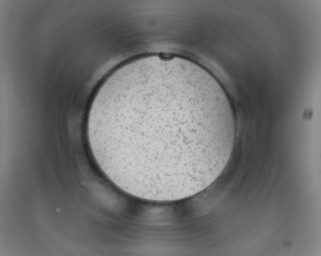 X0000092010155200709271536