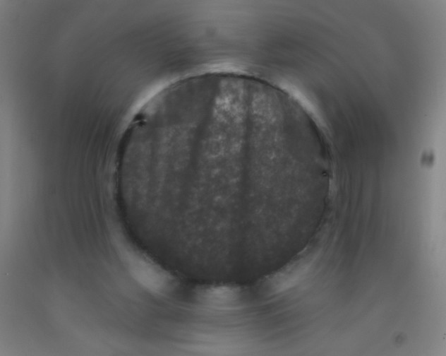 X0000092010156200709271536