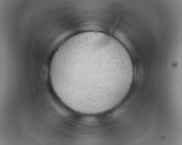 X0000092010157200709271536