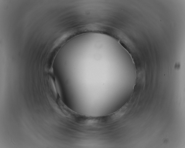 X0000092010158200709271536