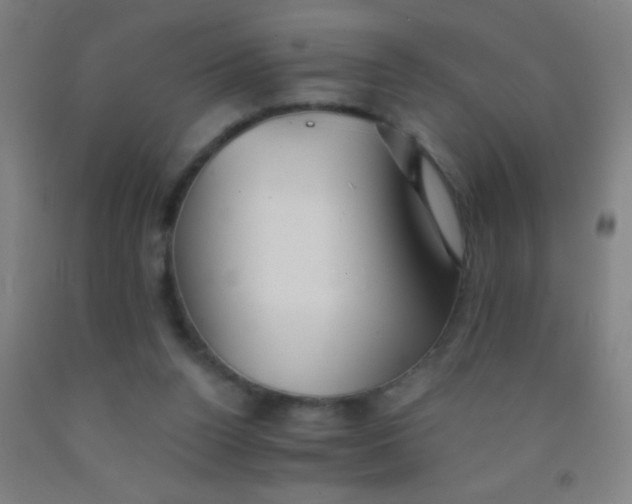 X0000092010160200709271536