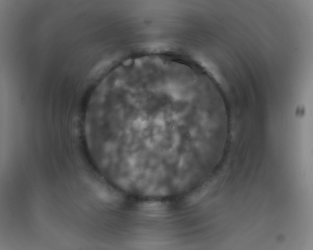 X0000092010161200709271536