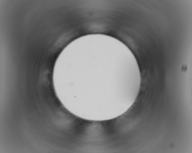 X0000092010162200709271536