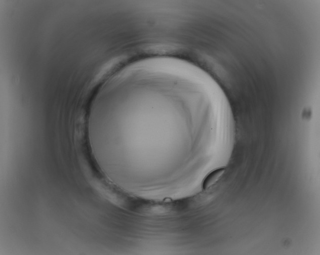 X0000092010163200709271536