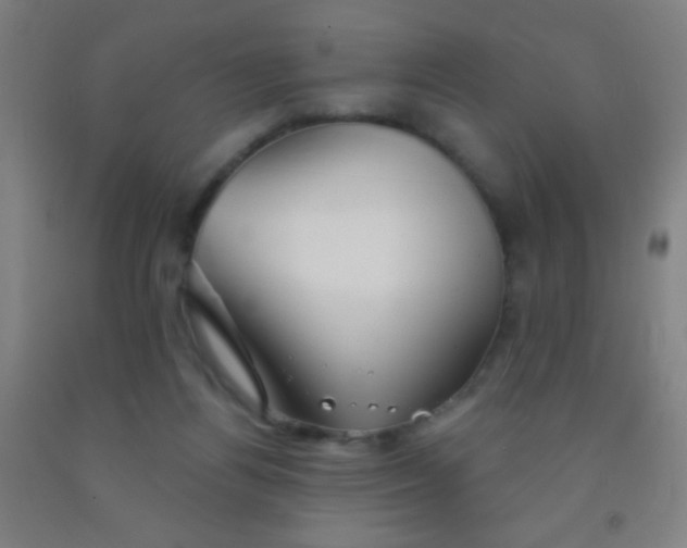 X0000092010164200709271536